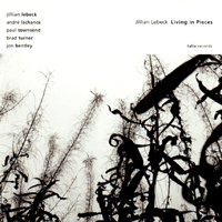 Jillian Lebeck album: Living in Pieces